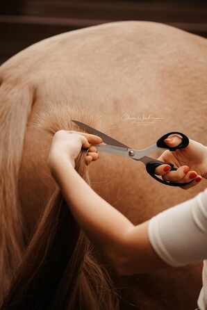 Ножиці для хвоста коня Equimour – професійні ножиці з нержавіючої сталі | Точний зріз для густого хвоста | Ергономічна ручка & чохол з веганської шкіри | Аксесуар для догляду за хвостом коня