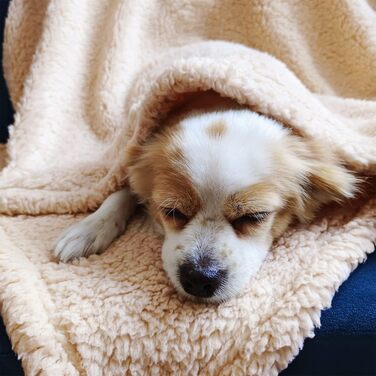 М'яка тепла флісова ковдра для собак та котів 100x120 см, машинного прання, бежева