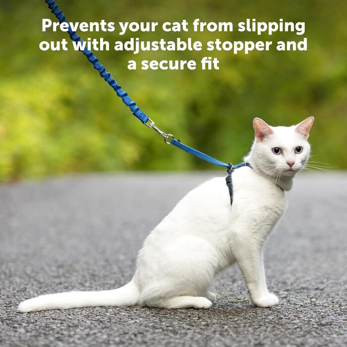 Шлейка для котів PetSafe Come with Me Kitty з еластичним повідцем, розмір S, синя