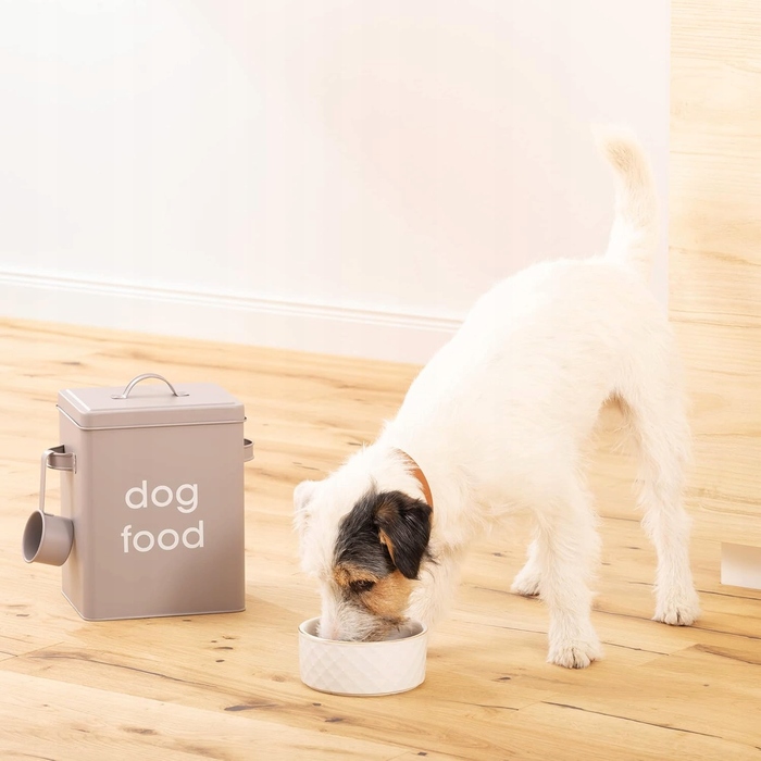 Контейнер для корму собак у вінтажному стилі з мірним стаканом та герметичними кришками
