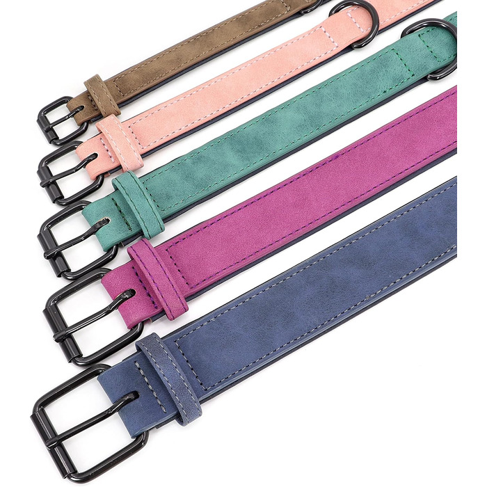 Шкільний нашийник для собак Didog: м'який, з підкладкою, зелений, L (33-43 см, 10-20 кг)