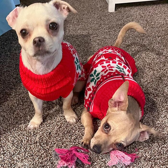 Стильний новорічний светр для собак Kyeese, теплий вовняний ромбік для маленьких цуценят, хлопчиків та дівчаток з малюнком сніжинок та оленів, зручний зимовий светр з отвором для повідка