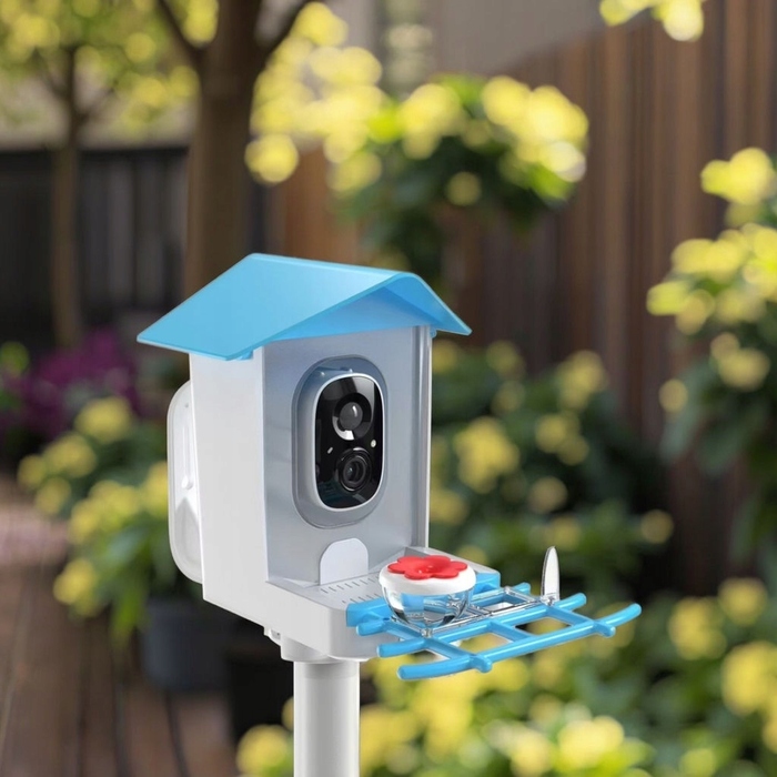 RobiCam BirdNest Vision – інтелектуальна годівничка для птахів із сонячною панеллю та Full HD камерою