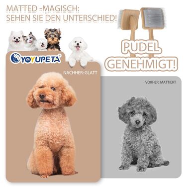 Набір щіток та гребінців Slicker для великих собак з довгою шерстю – щітка для розплутування з пінами 22 мм для Голден Ретріверів, Пуделів, Дудлів та котів – професійний догляд за шерстю з дерев'яною ручкою та шкіряним чохлом. Покриття лаком.