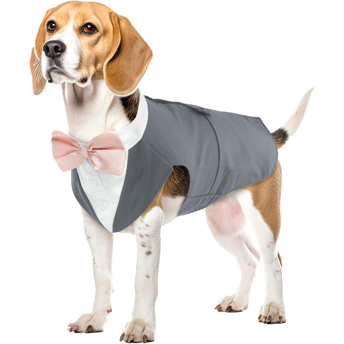 Костюм для собак з банданою: елегантний набір для свят та вечірок (сірий, L)