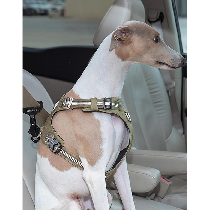 Замок для безпеки автомобіля TRUE LOVE: надійний кріплення для тварин під час подорожей