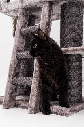 Дряпак для котів Petrebels Parklane 175 см, преміум, з XXL гамаком, спальним будиночком, диваном, товсті стовпи, кольору капучино