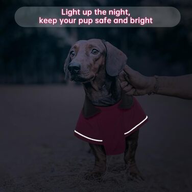 Зимовий теплий дощовик для собак Такса (M), рожевий. Захист від вітру та вологи, з отвором для повідка. Тепла куртка для собак великих порід.