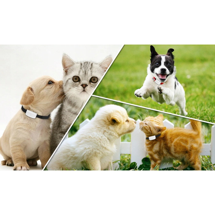 GPS-нашийник локатор TK911 для собак та котів з підтримкою SOS та мобільного додатка