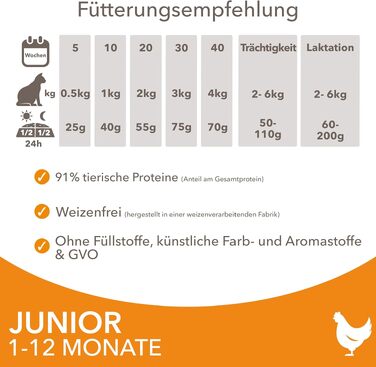 Сухий корм для кошенят IAMS з рибою та куркою для віку від 1 до 12 місяців, 3 кг