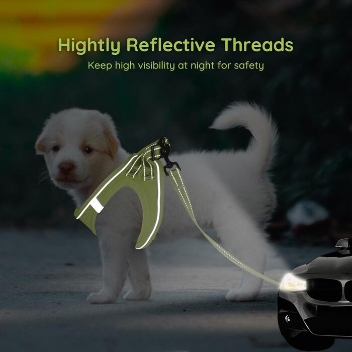 Шлейка для собак BELLA & PAL для маленьких собак з повідком, Step-in шлейка з Air Mesh, анти-тяга, світловідбиваюча, дихаюча, для цуценят, котів, XS (L (42-50 см обхват грудей), Авокадовий колір)