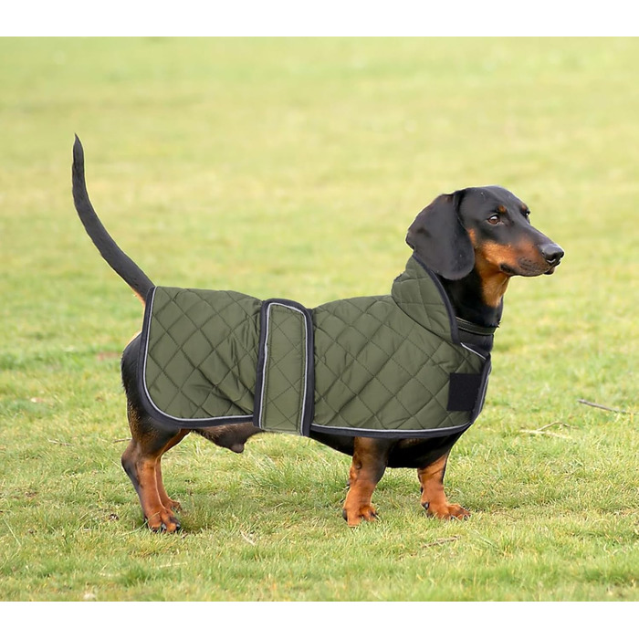 MOREZI Зимовий одяг для собак - теплий водонепроникний пуловер для такс з вовняним утеплювачем та регульованими ременями, теплий зимовий одяг для маленьких собак, зелений, S (довжина спини: 36-38 см)