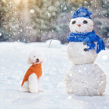 Теплий в'язаний светр BINGPET для собак (маленьких, середніх та великих), зимовий одяг для собак та котів, класичний светр з ромбоподібним візерунком, теплий светр світло-зеленого кольору (помаранчевий/червоний з візерунком 'Захід сонця', розмір Small)