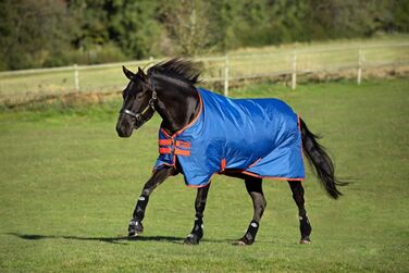 Зимова водонепроникна кінська попона Horseware Amigo Mio, середня товщина, чорна з бірюзовим, розмір 3'9