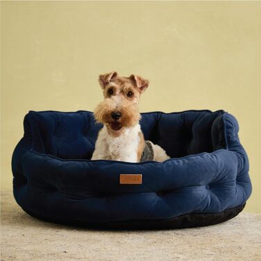 Ліжко для собак Roewood x Joule Chesterfield, невелике, розкішне, з антиковзким дном, додатковою підкладкою та підтримкою, дизайн у стилі Chesterfield, зручне місце для відпочинку (темно-синій, 70x70x27 см)