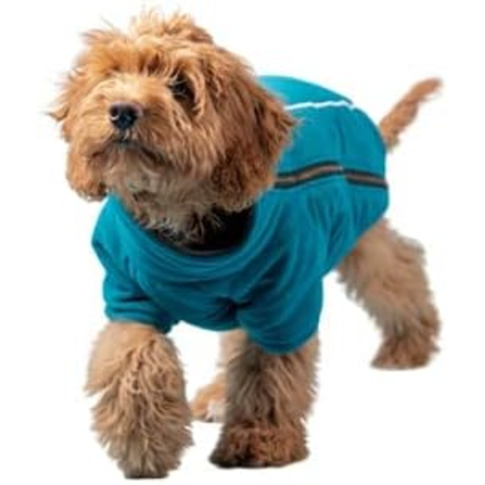 Теплий зимовий костюм для собак BoxDog з поларфлісу, блакитний | для маленьких собак, тепла піджака для собак