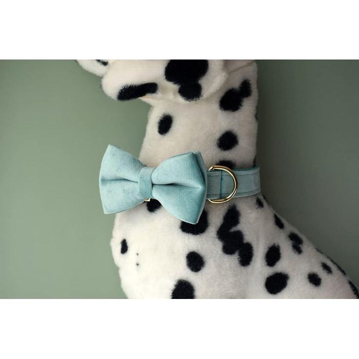 Іменний нашийник для собак з металевою застібкою, індивідуальні адресники для тварин з гравіюванням імені, телефону та адреси (Стиль А)