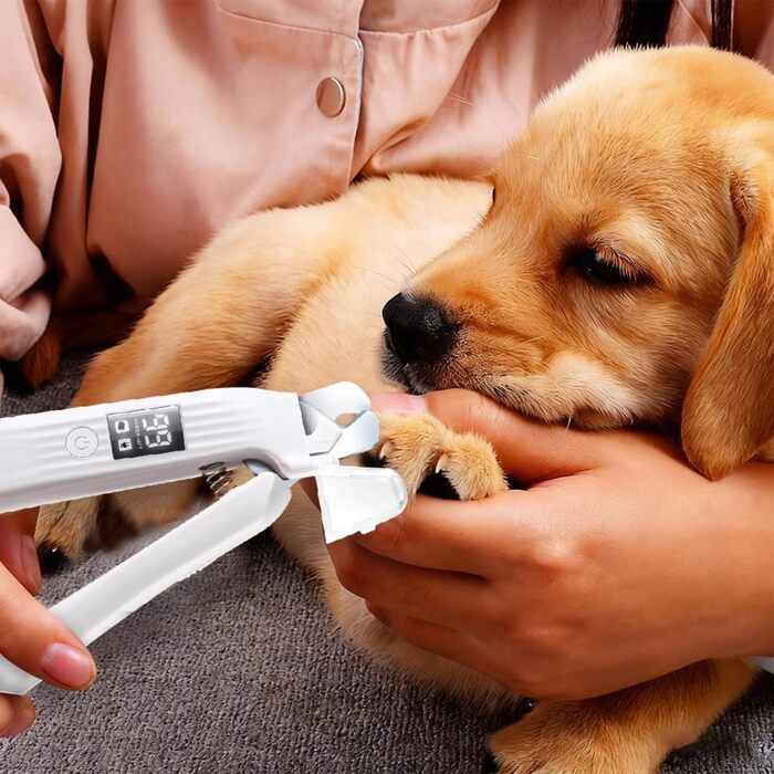 Електричний триммер для когтів тварин MiOYOOW з LED-підсвічуванням, акумуляторний, для котів та інших порід