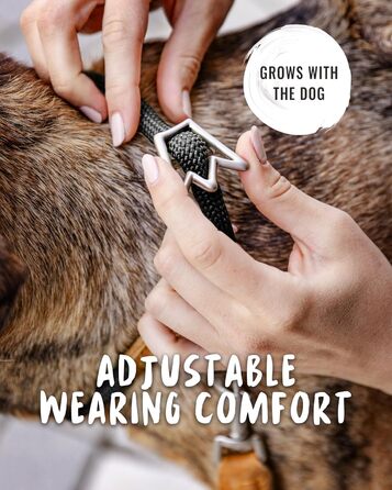 Нашийник для собак Rudelkönig Emma - Елегантний нашийник-стоп для собак з шкіри та нейлону - ø 12 мм - Зручний навчальний нашийник для великих собак (6, Чорний)