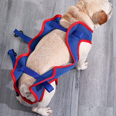 Гамак для грумінгу собак та котів DONGKER, блакитний, з 2 карабінами для маленьких тварин