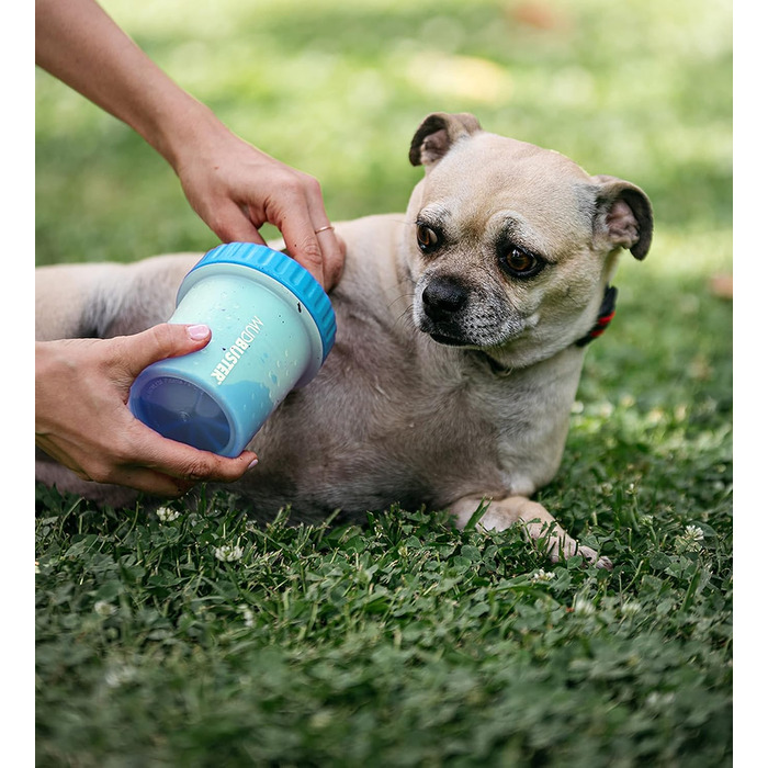 Dexas MudBuster: портативний очищувач лап для собак, розмір S, блакитний, PW700312