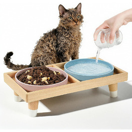 Підвищена годівниця для котів JAZUIHA з 2 широкими мисками, станція для годування з дерев'яною підставкою та силіконовою мискою, діаметр 18 см