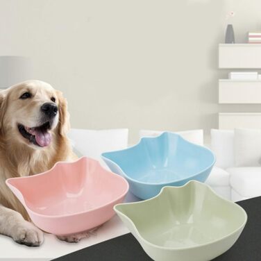 Набір мисок для котів з антиковзним покриттям, 5 шт. - миски для корму та води для кошенят, дорослих котів та цуценят