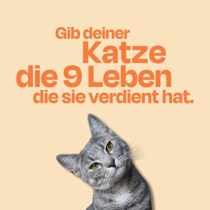 Супер-преміум корм для котів The Better Cat з куркою, беззерновий, з пробіотиками, без цукру, 2 кг