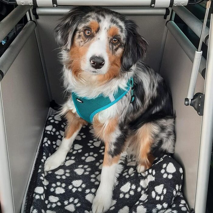 Алюмінієвий бокс NOBBY 62324 з заокругленими кутами, 59x55x49 см, 66x61x20 см