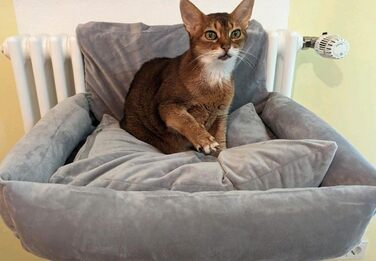 Килимок для котів на радіатор PataGrande, сірий, з м'яким подушками, машинного прання