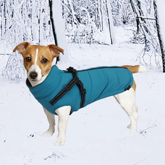MOREZI Зимова куртка для собак, водонепроникна, з флісовою підкладкою, блискавка на спині, світловідбиваючі смуги та ремені, для маленьких та середніх собак - M (Спина: 39см), Синій
