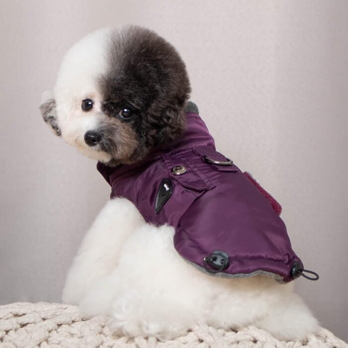 Пупа - теплий та зручний зимовий одяг для собак (Lila, L)