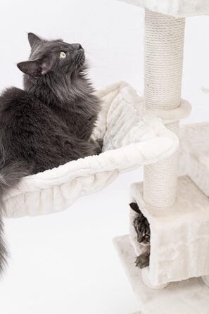 Когтеточка для котів Petrebels Cleopatra 134 см, преміум, XL лежанка, котяча будка, стовпи Ø9 см, бежевий/кремовий