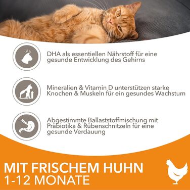 Сухий корм для кошенят IAMS з рибою та куркою для віку від 1 до 12 місяців, 3 кг