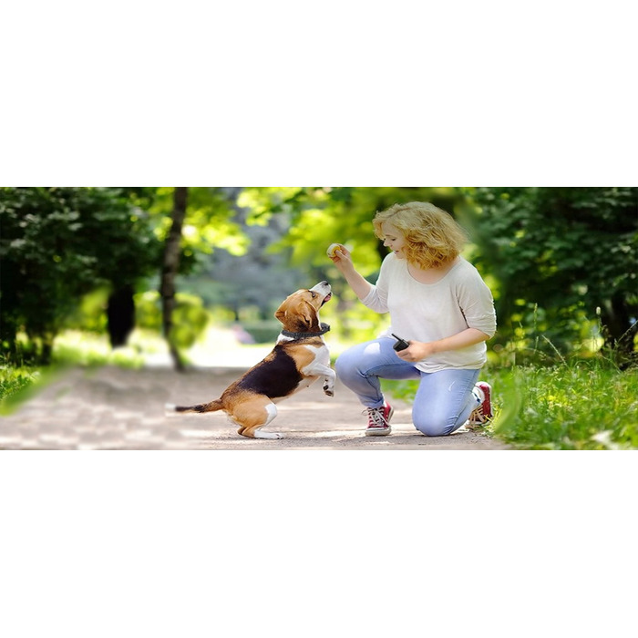 Навчальний електричний нашийник для собак з пультом керування, радіус 300м