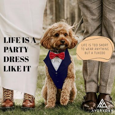 Елегантний собачий смокінг для весілля та ювілею, стильний набір для фотосесій та свят, синій смокінг з червоною краваткою (L, Neck 16.5-20.5 дюймів)