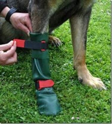DogGusti захисне взуття для собак (L, темно-зелене)