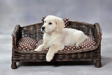 Корзина для собак та котів з плетіння лози з м'яким лежаком, коричнева (74x52x39 см)