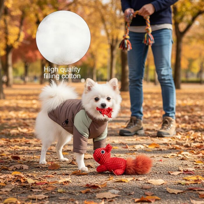 Зимова куртка для собак, непромокаєма, вітрозахисна, з накладками, світловідбиваюча, для малих та середніх собак, для катання на лижах, машинне прання (XL)