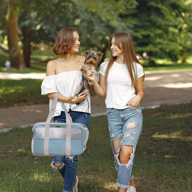 М'яка переноска для собак та котів ALLSOPETS, складана, дихаюча, з поводком, легка, для подорожей, до ветеринара, на вулицю (небесно-блакитний)