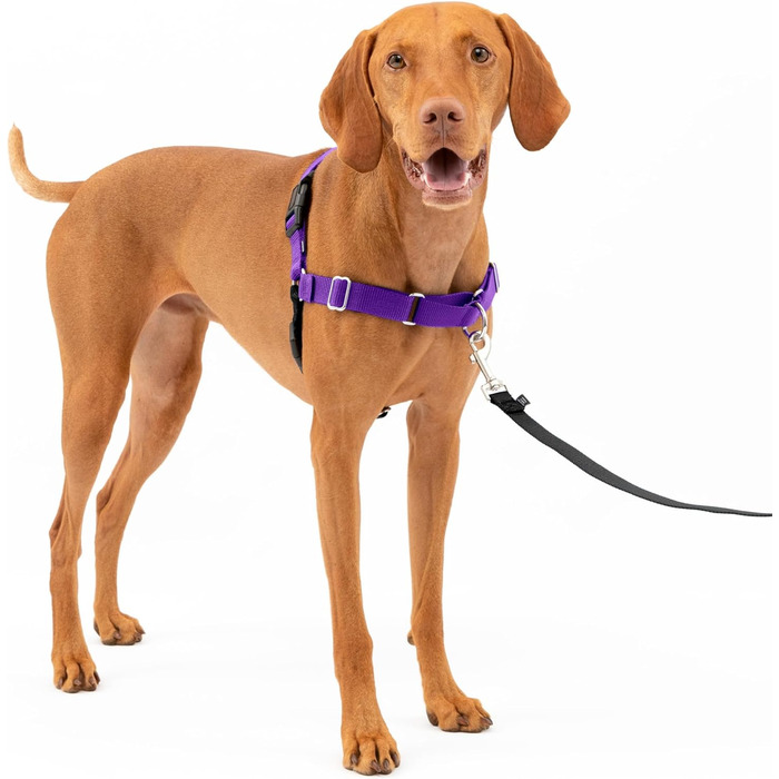 Шлея для собак PetSafe Easy Walk, анти-тяг, регульована
