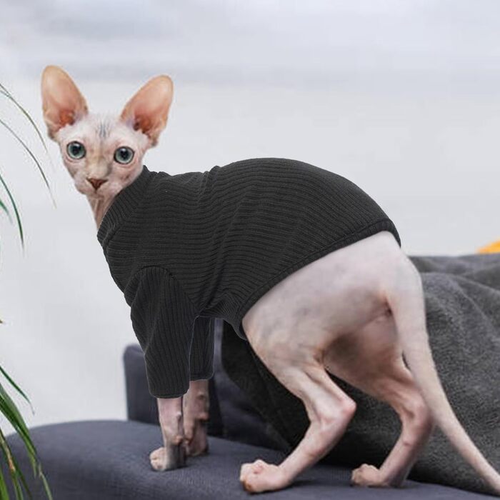Одяг для безшерстних котів Sphynx: м'який пуловер з ролетним коміром, футболка, жилет. Чорний колір, розмір XL