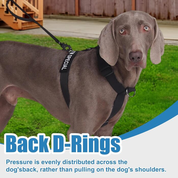 Шлейка для собак FEimaX для великих собак, тактична, не тягне, чорна, XL. Зручна, дихаюча, міцна, з м'якою підкладкою