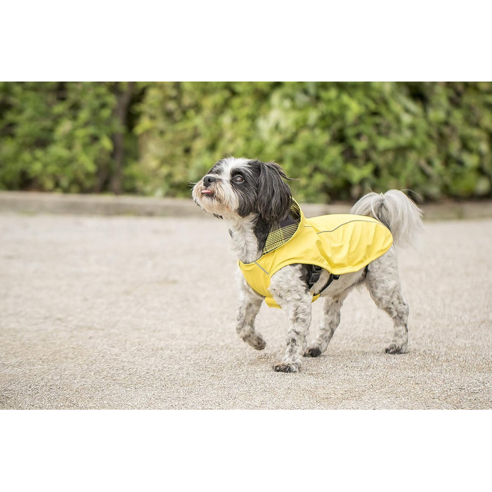 Жовта дощова куртка CHIARA Scotty Regenjacke з інтегрованою підкладкою (L, 100% поліестер, спортивна, водонепроникна)