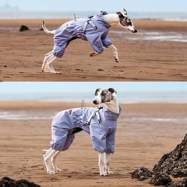 Дощовик для собак маленьких та середніх порід, регульований, з 4-ма лапами, водонепроникний, вітронепроникний, світловідбиваючий, розмір M, фіолетовий