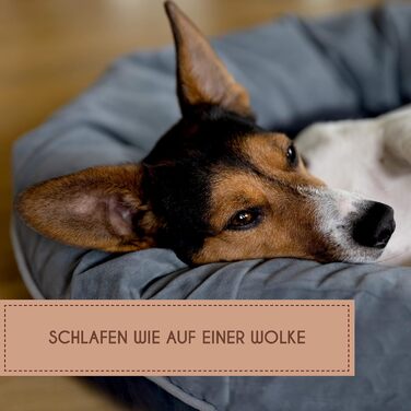 Ліжко для собак маленьких порід La Nube, 61x61 см, диван-ліжко, килимок, корзина, сіре, прання допустиме