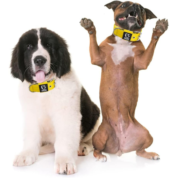 Тактичне обгортання для собак TSPRO, міцне обгортання з металевою застібкою, ширина 3,8 см, регульоване та товсте для середніх та великих собак (Жовтий M), розмір M-H (регульоване 40-48 см), Жовтий