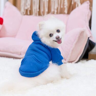 Теплий худі для собак з капюшоном, блакитний. З отвором для повідка та кишенею. Зимовий одяг для собак XS-XXL.