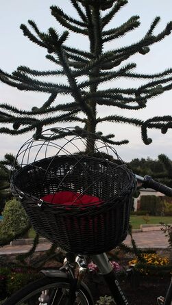 Корзина для велосипеда Marcus Hundefahrradkorb для руля з лози з металевою сіткою та подушкою, чорна. Корзина для собак, корзина на кермо, корзина для тварин, кошик для покупок, натуральна (з подушкою)