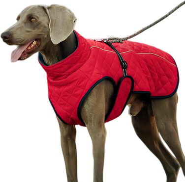 Зимовий теплий одяг для собак - Вітростійка жилетка-світловідбивач для собак, теплий зимовий одяг для собак | Для активного відпочинку: прогулянки, пікніки, кемпінг, катання на лижах, міські прогулянки